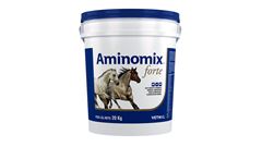 AMINOMIX FORTE 20 KG