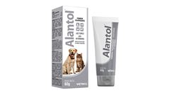 ALANTOL BISNAGA 60 G