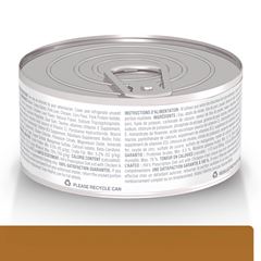 PD FEL E CAN A/D CONVALESCENTE 156GR