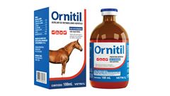 ORNITIL 100 ML