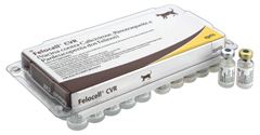 FELLOCEL CVR FR  1 DS