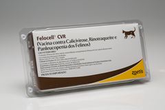 FELLOCEL CVR FR  1 DS