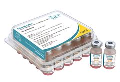 GIARDIAVAX CX 25 DOSES