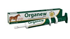 ORGANEW PASTA 32G
