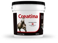 CREATINA 2 KG BALDE