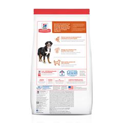 SD CAN ADULTO LB 12 KG